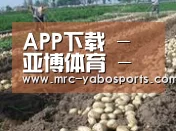 种植基地八