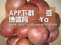 产品展示标题1