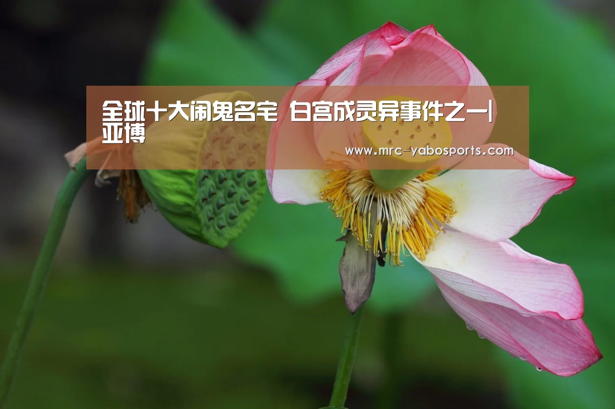 亚博体育