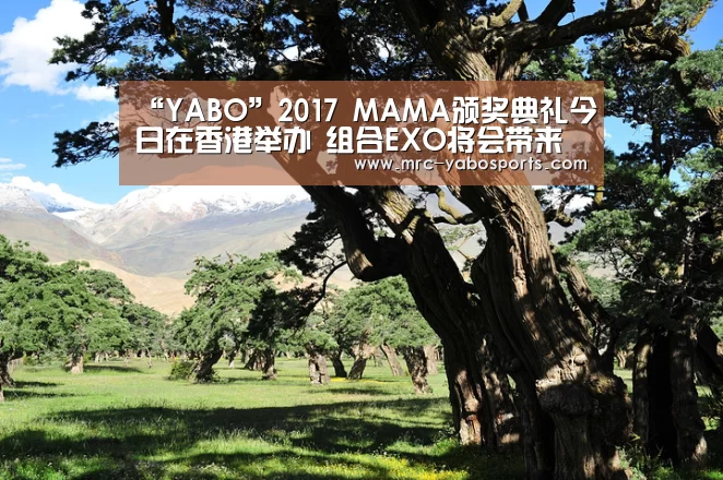 “YABO”2017 MAMA颁奖典礼今日在香港举办 组合EXO将会带来精彩的高科技舞台(图2)